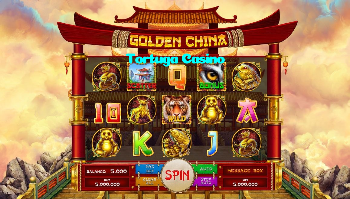 available types of Tortuga Casino bet including pre-match live express and system bets